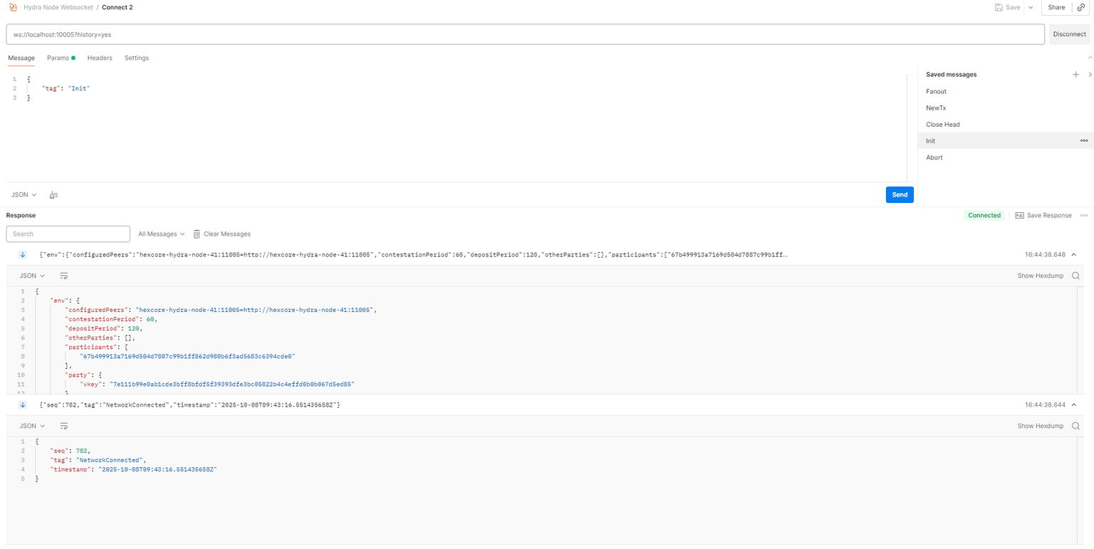 Successfully connected to Hydra Node